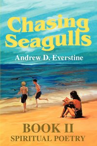 bokomslag Chasing Seagulls
