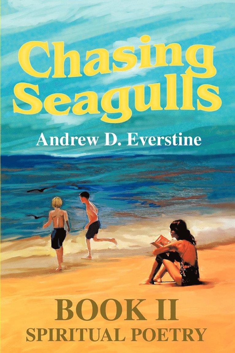 Chasing Seagulls 1