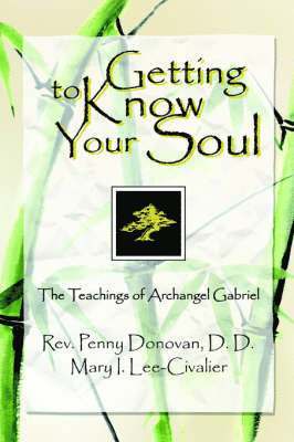Penny Donovan DD - Getting To Know Your Soul, Häftad