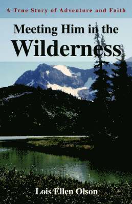 Meeting Him in the Wilderness