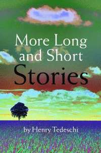 bokomslag More Long and Short Stories