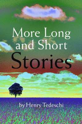 bokomslag More Long and Short Stories