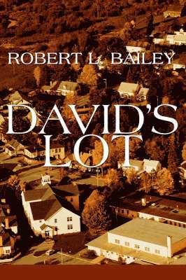 David's Lot 1