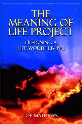 bokomslag Meaning of Life Project