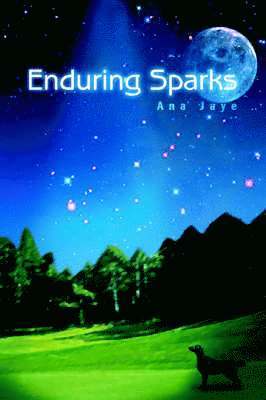 bokomslag Enduring Sparks