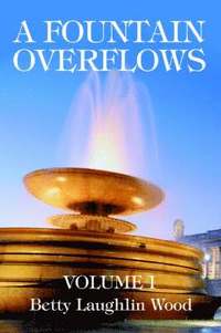 bokomslag Fountain Overflows