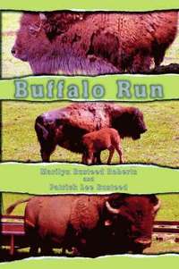 bokomslag Buffalo Run