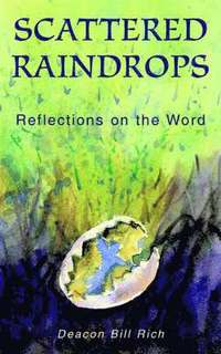 bokomslag Scattered Raindrops
