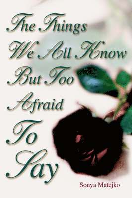 bokomslag Things We All Know but too Afraid to Say