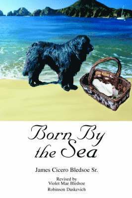 Born By the Sea 1