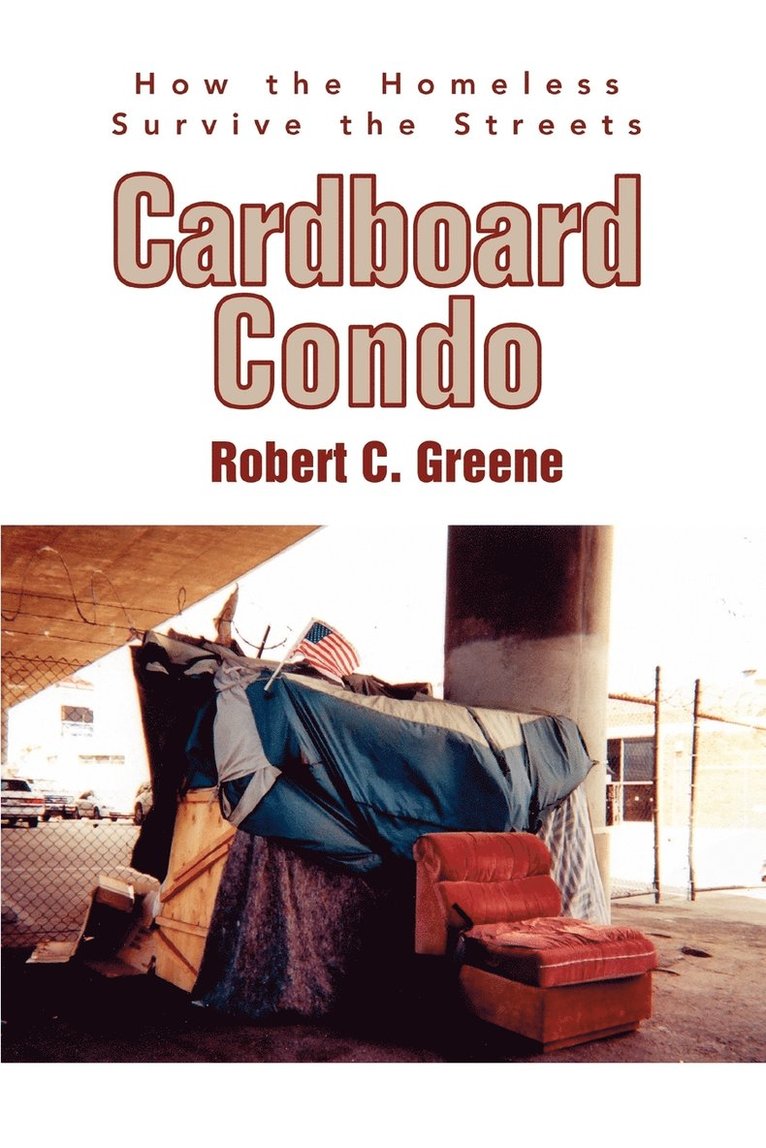 Cardboard Condo 1