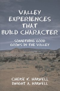 bokomslag Valley Experiences That Build Character