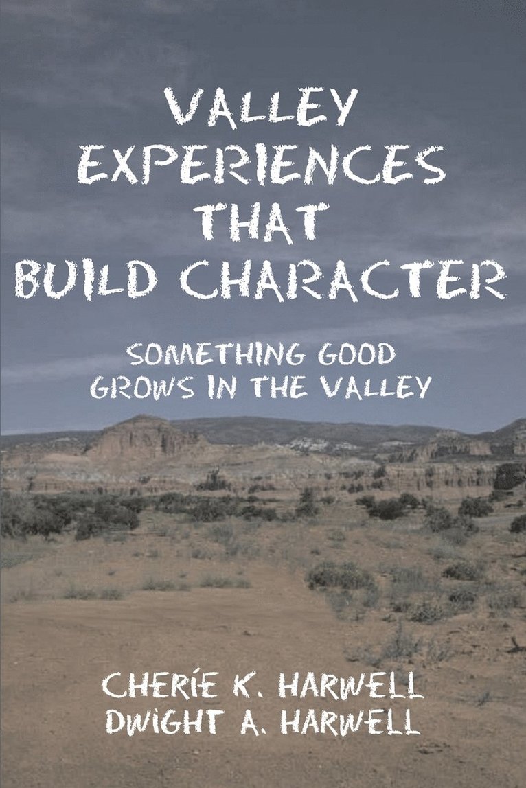 Valley Experiences That Build Character 1