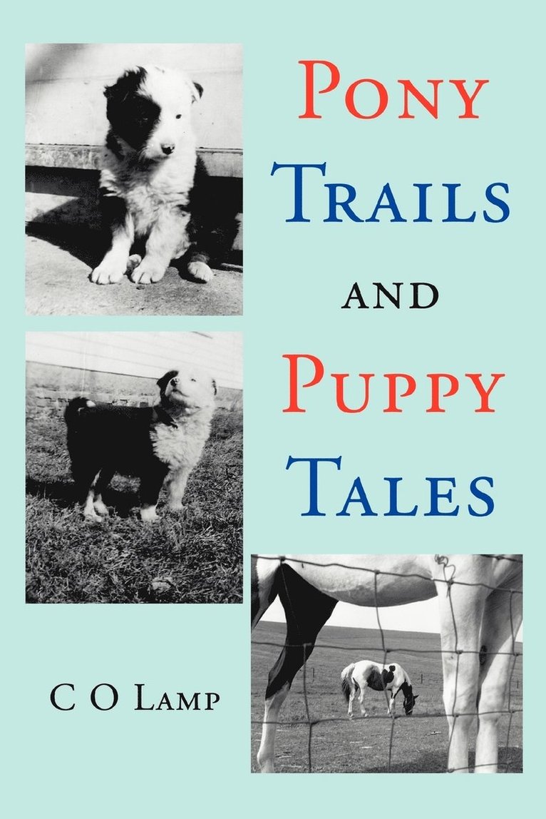 C O Lamp, C. O. Lamp - Pony Trails and Puppy Tales, Häftad