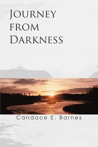 bokomslag Journey from Darkness
