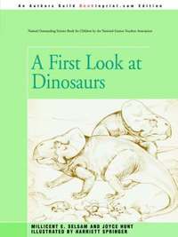 bokomslag A First Look at Dinosaurs