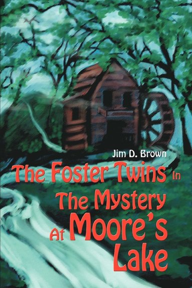 bokomslag The Foster Twins In The Mystery At Moore's Lake