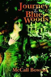 bokomslag Journey To Blue Woods
