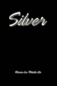 bokomslag Silver