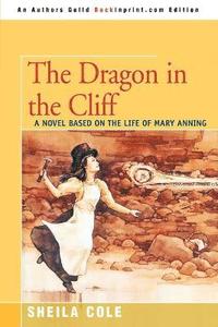 bokomslag The Dragon in the Cliff