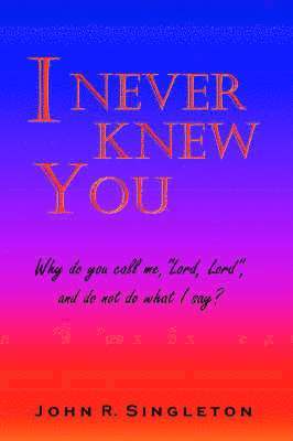 bokomslag I Never Knew You