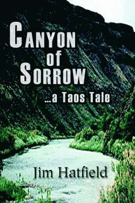 bokomslag Canyon of Sorrow