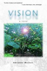 bokomslag Vision