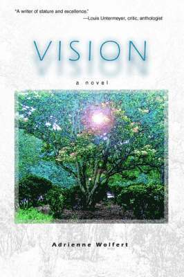 Vision 1