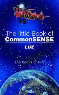 bokomslag The Little Book of Commonsense