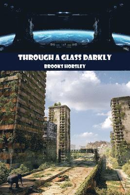 Through a Glass Darkly