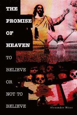bokomslag Promise of Heaven