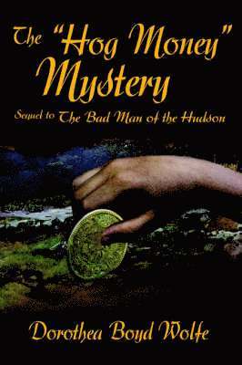 bokomslag Hog Money Mystery