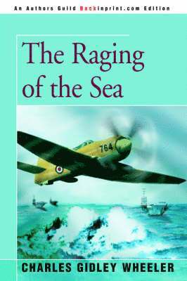 The Raging of the Sea 1