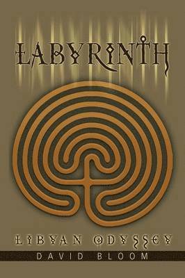 bokomslag Labyrinth