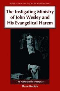 bokomslag The Instigating Ministry of John Wesley and His Evangelical Harem