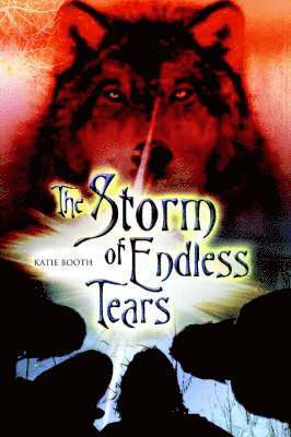 The Storm of Endless Tears 1
