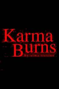 bokomslag Karma Burns