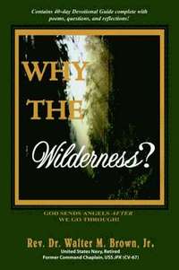 bokomslag Why the Wilderness?