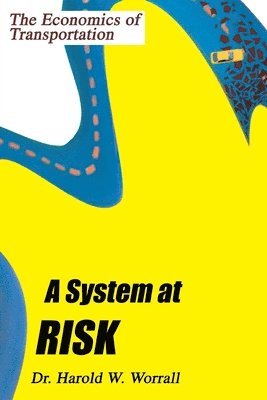 bokomslag A System at Risk