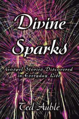 bokomslag Divine Sparks