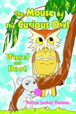 bokomslag The Mouse & The Curious Owl