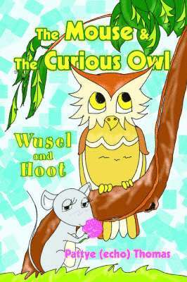 Mouse & The Curious Owl