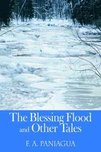 bokomslag Blessing Flood and Other Tales