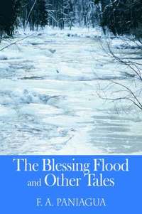 bokomslag The Blessing Flood and Other Tales