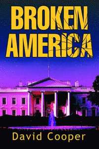 bokomslag Broken America