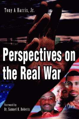 bokomslag Perspectives on the Real War