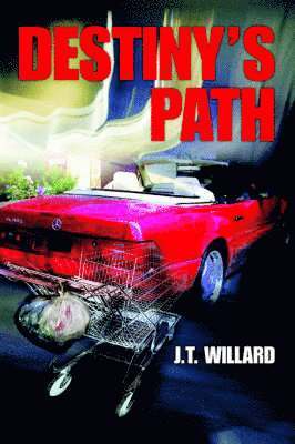 J T Willard, J. T. Willard - Destiny's Path, Häftad