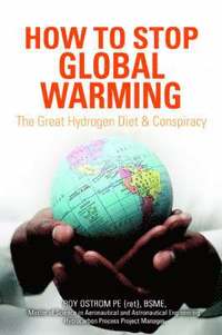 bokomslag How to Stop Global Warming