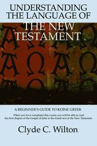 bokomslag Understanding the Language of the New Testament