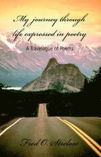 bokomslag My Journey Through Life Expressed in Poetry